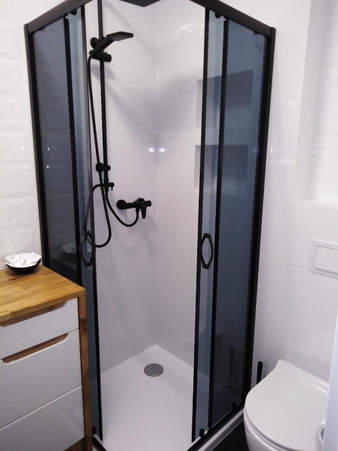 Apartament Joanna Sanok Buitenkant foto